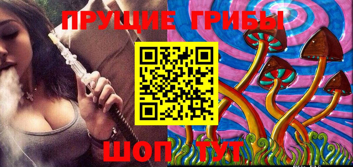 Галлюциногенные грибы Cubensis Всеволожск